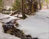 Daniel Gerhartz, Snowfall on Nichols Creek