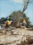 Ray Swanson, Navajo Country