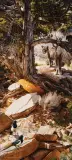 Carl Brenders, New to the Neighborhood, Gouache