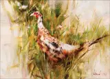 Richard Schmid, Mountain Bird