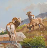 Bob Kuhn, Rams on a Ridge