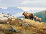 Luke Frazier, Wide Open Spaces