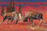 Bob Kuhn, Encounter