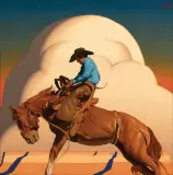 Logan Maxwell Hagege, Mesa Rodeo
