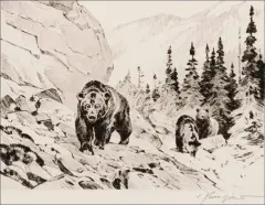 Carl Rungius, Out of the Canyon, Drypoint Etching
