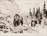 Carl Rungius, Out of the Canyon, Drypoint Etching