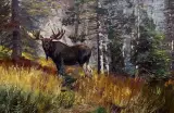 Carl Rungius, Moose in Landscape