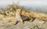 David Shepherd, Cheetah, Oil on canvas