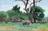 Wilhelm Kuhnert, Zebras, Oil on canvas