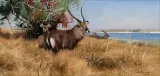 Wilhelm Kuhnert, Antelope by a River, Oil on canvas