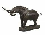 Michael Coleman, Bull Elephant