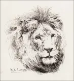 William Robinson Leigh, Lion, Pen & Ink