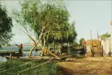 Clark Hulings, El Palmar #3, Oil on canvas