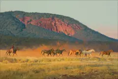 Bill Owen, His String of Horses, Oil on canvas