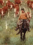 Wayne Baize, Out Front