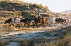 Northward Bound by Mark Swanson, Oil on canvas, sold Apr 2022