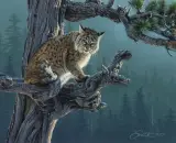 Daniel Smith, Silent Watch, Oil on board