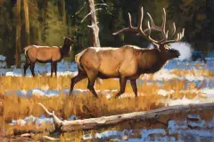 Dave Wade, Back Country Majesty, Oil on board