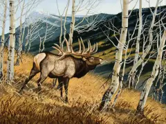 James Morgan, Elk, Oil on board