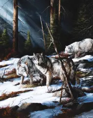 Trevor Swanson, Forest Shadows, Oil on canvas