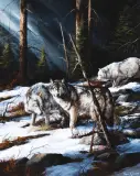 Trevor Swanson, Forest Shadows, Oil on canvas