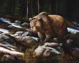 Trevor Swanson, The Remains of the Last Snow, Oil on canvas