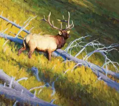 William Alther, Shadow Mountain Deadfall, Oil on board
