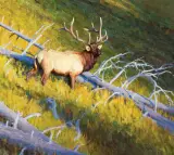 William Alther, Shadow Mountain Deadfall, Oil on board