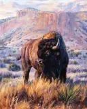 Brian Grimm, Caprock Evening, Oil on board