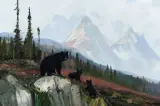 Michael Coleman, Three Black Bears, Oil on board