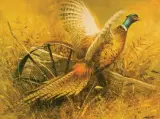 Robert Kennedy Abbett, Pheasant Ready for Flight, Oil on canvas