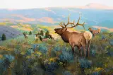 Douglas Allen, Valley of the Voices, Oil on board
