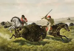 Collection of 3 lithographs: The Last Shot; Life on the Prairie; The Surprise by Currier & Ives, Lithograph, sold Apr 2022