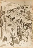 Frederic Remington, Collection of 15 Remington prints published by the Werner Company, 1898, Lithograph
