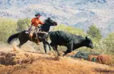 Bill Owen, Cutting Out the Bull