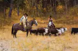 Richard Thomas, Relocating the Herd, Oil on canvas