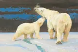 Polar Bear and Cub by Bob Kuhn, Acrylic on board, sold Apr 2022