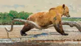 Belly Rub by Bob Kuhn, Acrylic on board, sold Apr 2022