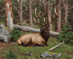 Tucker Smith, Deep Timber, Oil on canvas