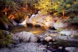 Mark Boedges, August Creek, Oil on canvas