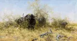 David Shepherd, Egrets and Friends, Oil on canvas