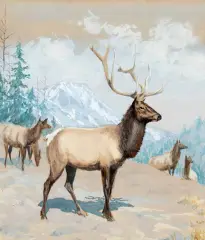 A. B. Frost, The Bull Elk, Watercolor