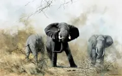David Shepherd, Elephants of Samburu, Oil on canvas