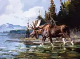 Luke Frazier, Yukon Territory
