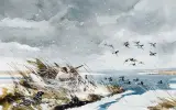 Chet Reneson, Snow Geese, Watercolor