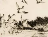 Frank Weston Benson, Baldpates