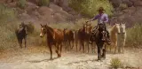 Wayne Baize, Slowing the Pace