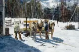 Richard Thomas, Harnessing Up, Oil on canvas