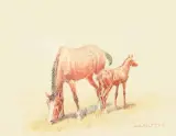 Olaf Carl Seltzer, Mare & Colt, Watercolor
