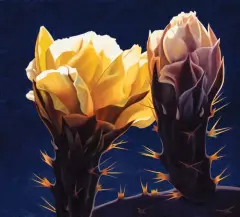 Desert Royalty by Ed Mell, Oil on linen, sold Apr 2023